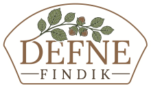 Defne Fındık